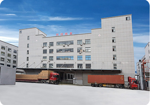 Il nostro sito web è online